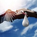 Anne Ben Nasıl Oldum