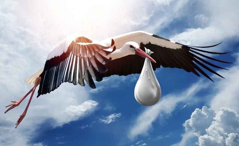 Anne Ben Nasıl Oldum